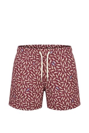 Costume da mare bordeaux con stampa Geco SAINT BARTH KIDS | JEA002204033L